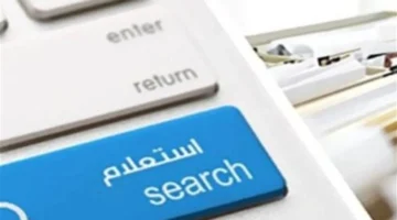 مخالفات 2025.. تعرف على طريقة الاستعلام عبر موقع النيابة العامة بسهولة